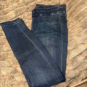 Liverpool Jeans Company Blue Jeggings with Distressed Look